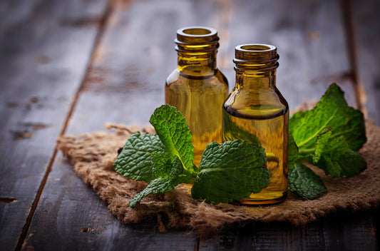 Cocoon Apothecary essential oil bottles with green leaves