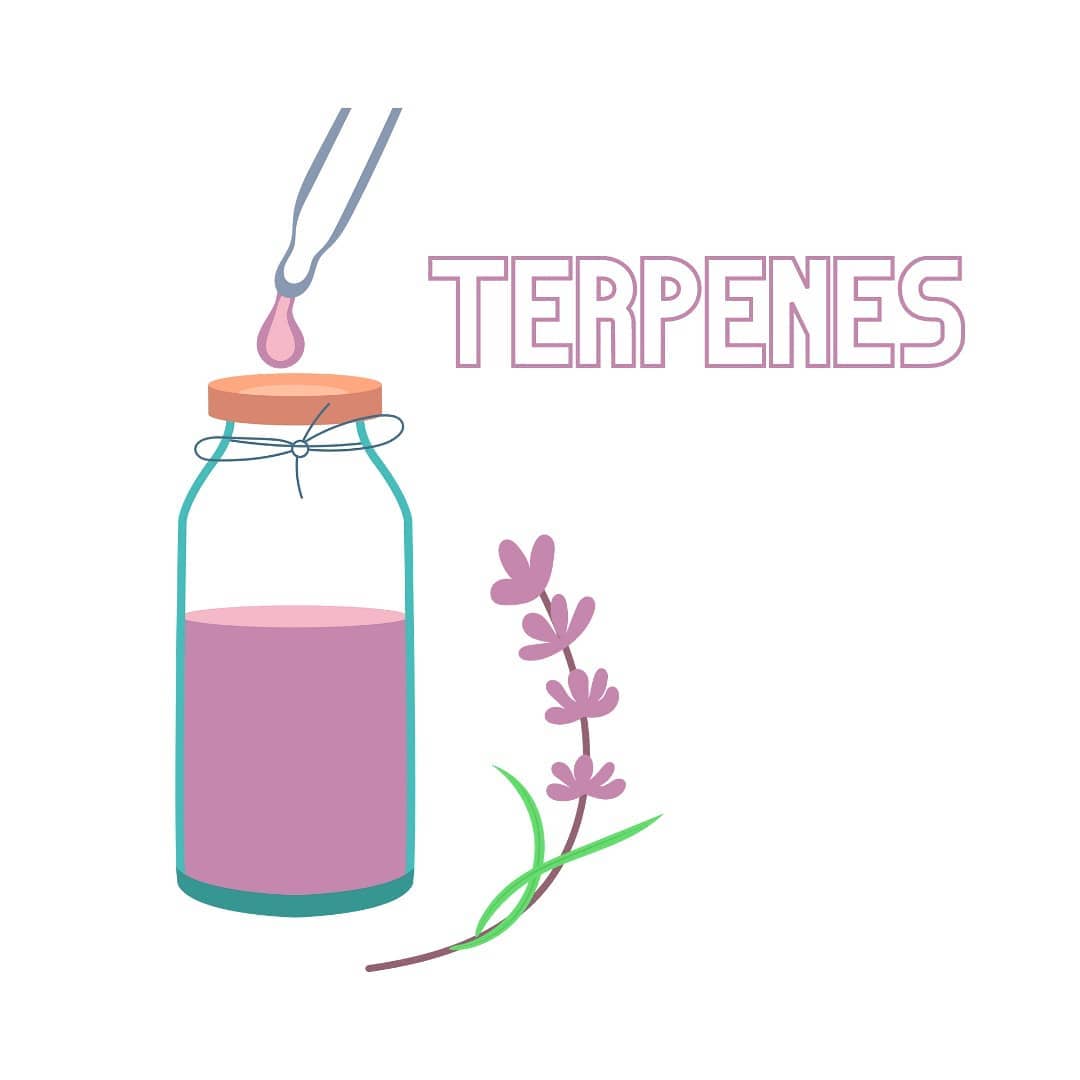 Terpenes
