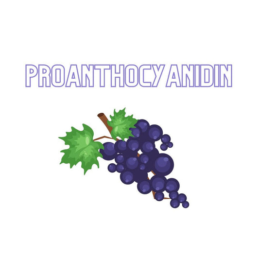 Proanthocyanidin