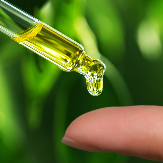 What Actually Absorbs Into Your Skin (and What Doesn’t): A Deep Dive Into Skin Penetration