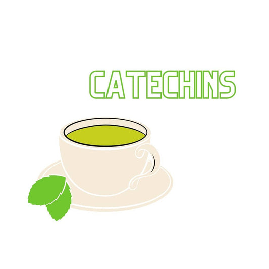 Catechins