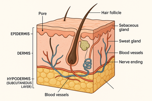 The Science of Aging Well