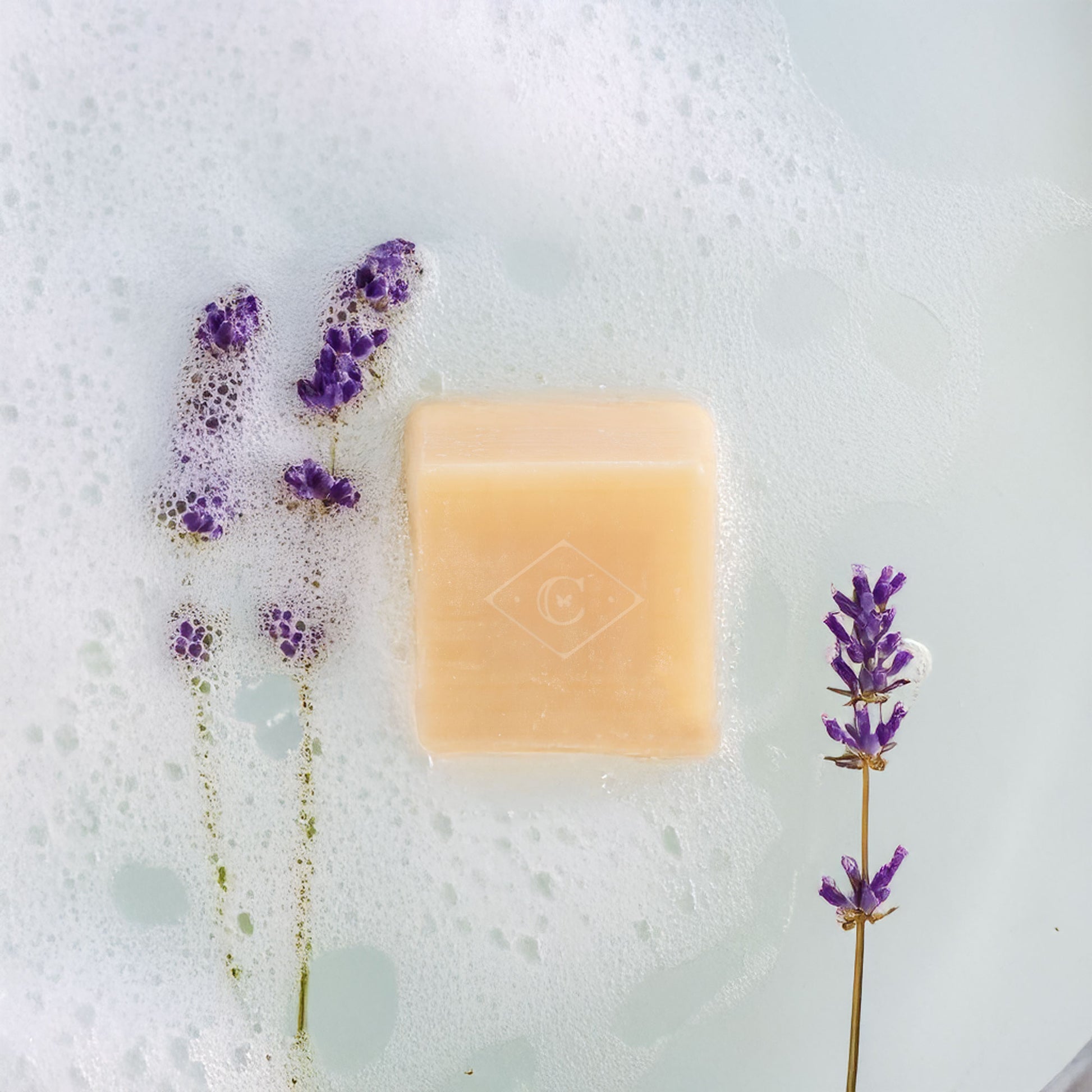 Bar of soap with lavender flowers on a textured surface