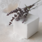 bath cube with a branch of dried patchouli on a white background
