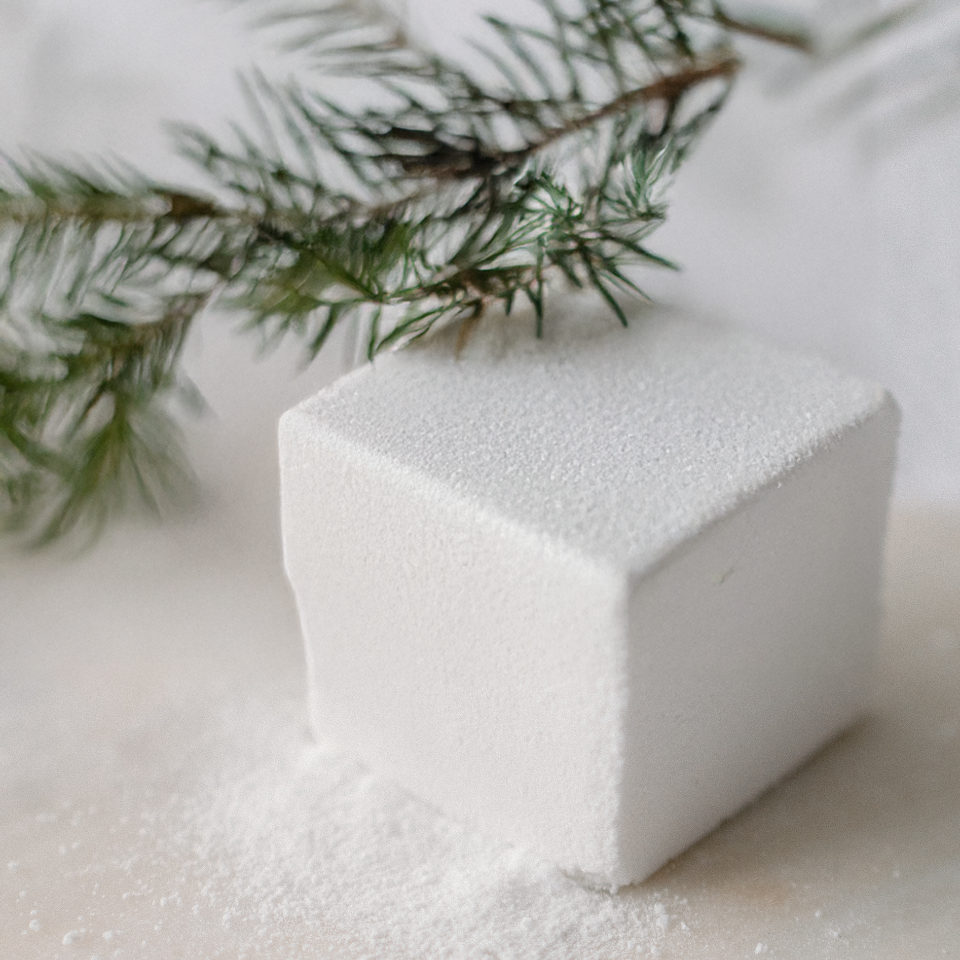 White cube with a spruce branch in the background