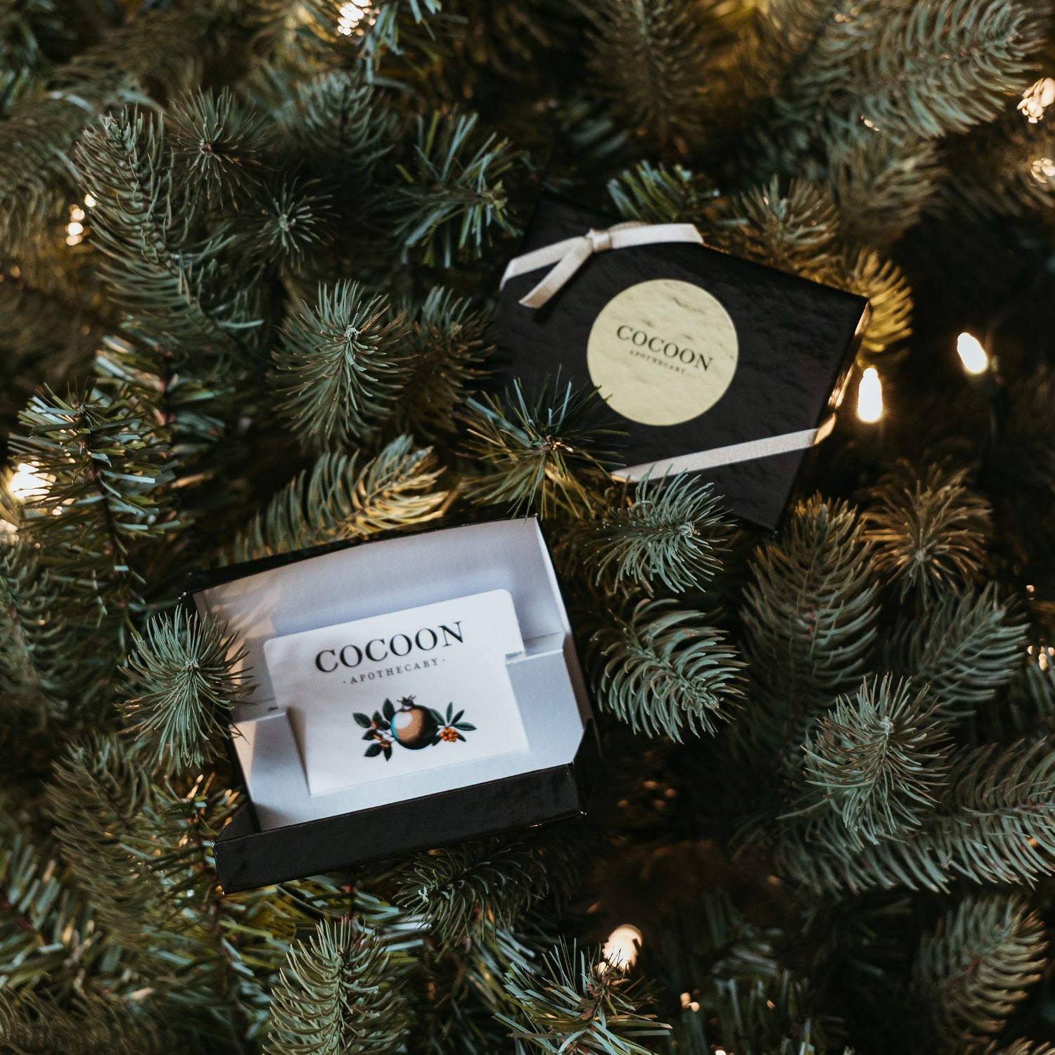 Cocoon gift card under a decorated Christmas tree with lights.