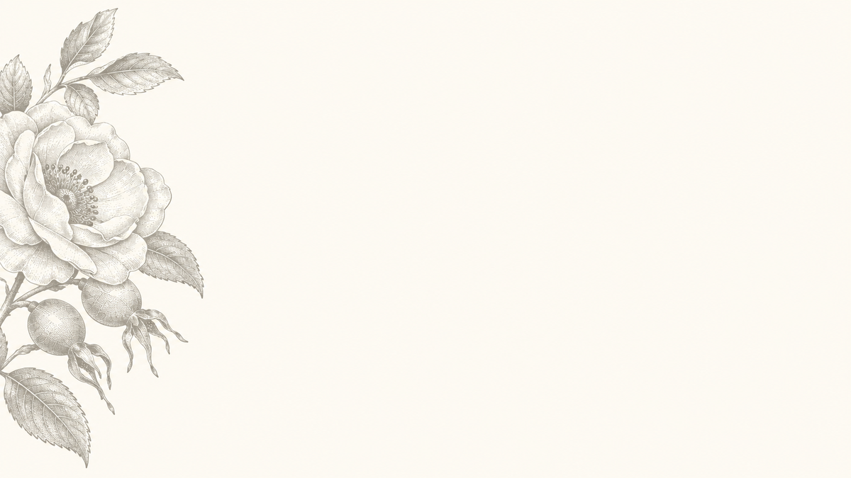 light rose illustration on cream background