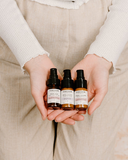 trial travel size skin care set for normal to dry skin. toner moisturizer cleanser organic natural ecocert